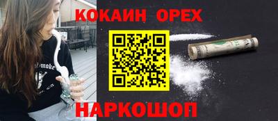 спайс Тара
