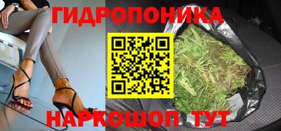спайс Тара