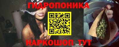 спайс Тара
