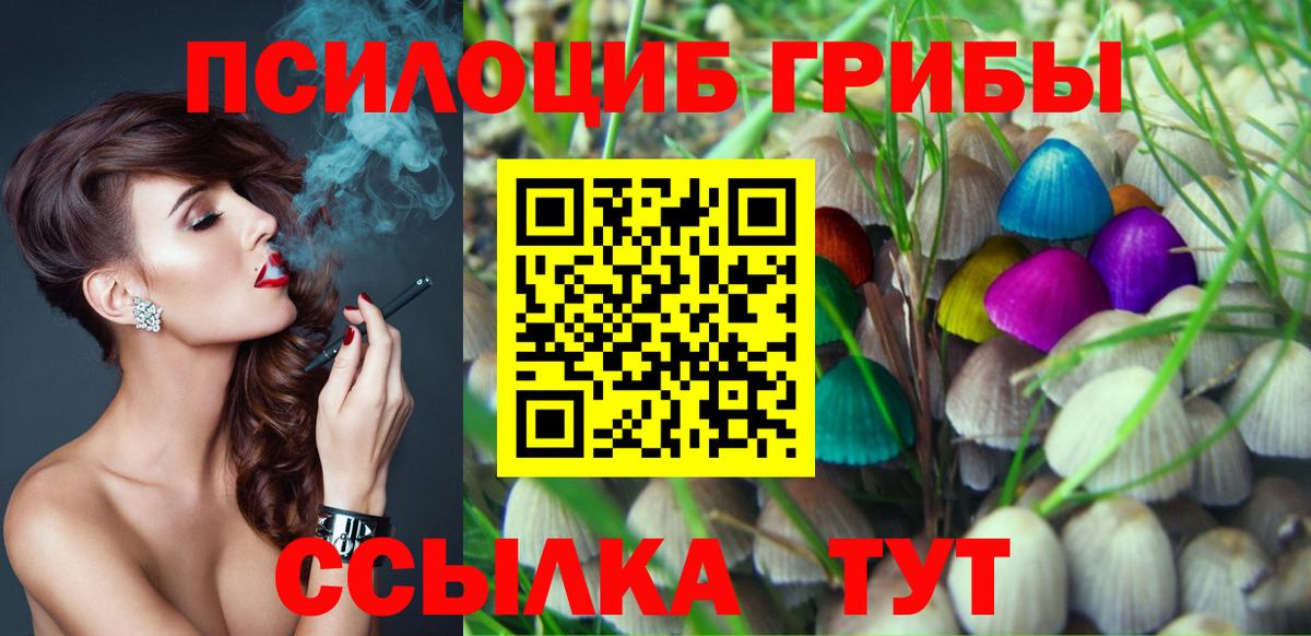 где купить наркотик  Псилоцибиновые грибы Psilocybe  Вход с VPN  Бугуруслан 